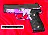 Sig228PPLSIL.JPG