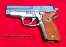 Sig228fullchrome02.JPG