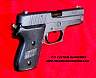 Sig245Stealth42385.JPG