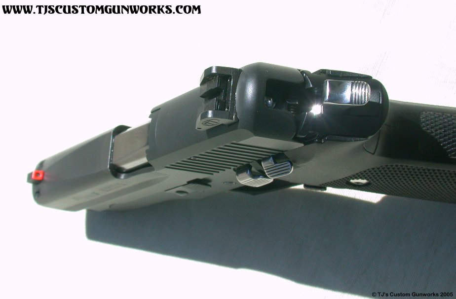 Custom Old Model Sig Sauer P220 2