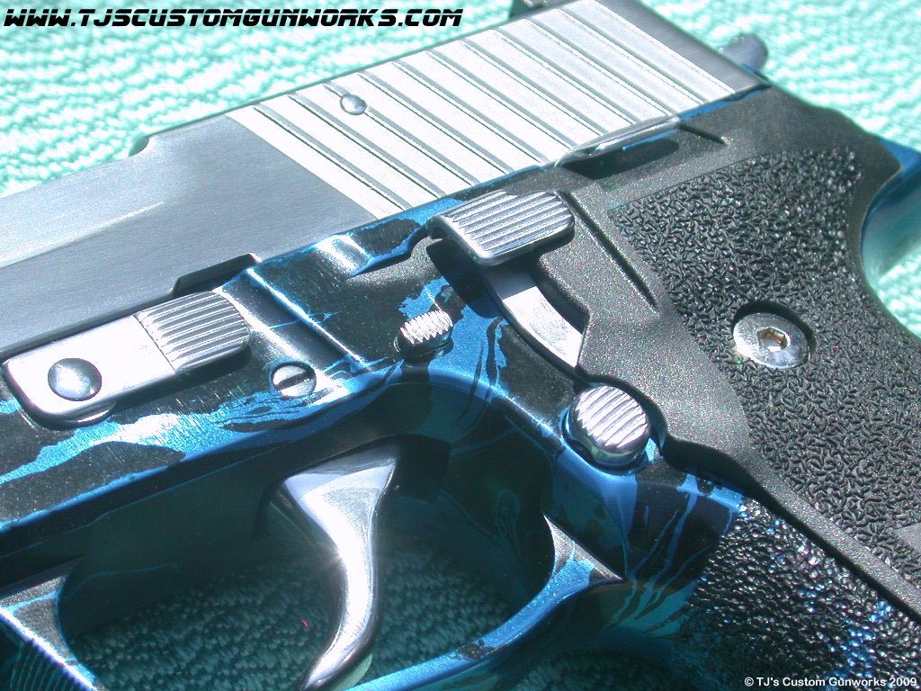 Sig Sauer P226 With Blue & Black Frame 5